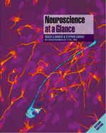 Neuroscience at a Glance - Barker, Roger A, Ba, MRCP, and Barasi, Stephen, and Neal, Michael J