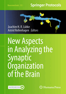 New Aspects in Analyzing the Synaptic Organization of the Brain