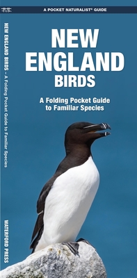New England Birds: A Folding Pocket Guide to Familiar Species - Kavanagh, James, and Waterford Press
