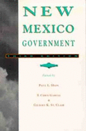 New Mexico Government