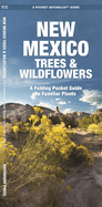 New Mexico Trees & Wildflowers: An Introduction to Familiar Species