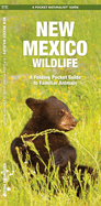 New Mexico Wildlife: A Folding Pocket Guide to Familiar Animals