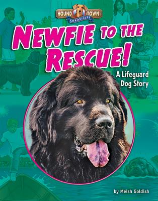 Newfie to the Rescue!: A Lifeguard Dog Story - Goldish, Meish