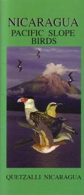 Nicaragua: Pacific Slope Birds - 