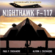 Nighthawk F-117 Stealth Fighter