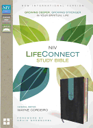 NIV, LifeConnect Study Bible, Leathersoft, Gray/Blue, Red Letter Edition: Growing Deeper, Growing Stronger in Your Spiritual Life