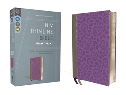NIV, Thinline Bible, Giant Print, Imitation Leather, Gray/Purple, Red Letter Edition