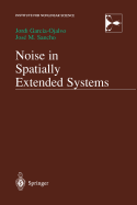 Noise in Spatially Extended Systems