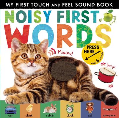 Noisy First Words: My First Touch and Feel Sound Book - Walden, Libby