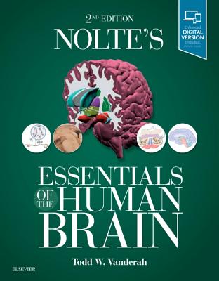 Nolte's Essentials of the Human Brain - Vanderah, Todd W, PhD