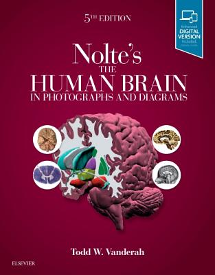 Nolte's the Human Brain in Photographs and Diagrams - Vanderah, Todd W, PhD