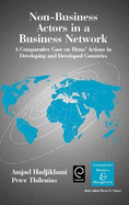 Non-Business Actors in a Business Network: A Comparative Case on Firms' Actions in Developing and Developed Countries (International Business and Management)