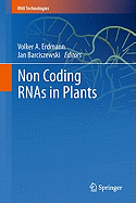 Non Coding Rnas in Plants