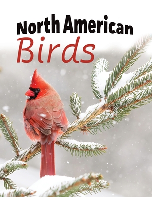 North American Birds - Happiness, Lasting (Creator)