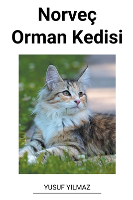 Norve? Orman Kedisi - Yilmaz, Yusuf