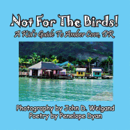 Not for the Birds! a Kid's Guide to Amber Cove, Dr