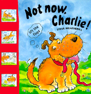 Not Now, Charlie! - Weatherill, Steve (Illustrator)