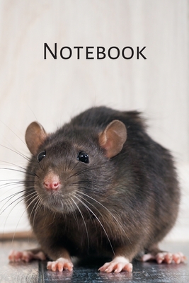 Notebook (6x9inch): Rat Notebook; I love Rats; Rat lovers Notebook; Pet Rat Lover; 6x9inch Notebook with 108-wide lined pages - Design Publishers, Raw