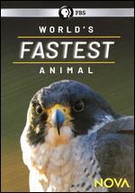 NOVA: World's Fastest Animal