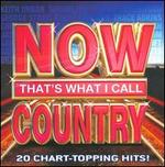 Now That's What I Call Country [2008]
