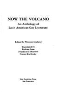 Now the volcano : an anthology of Latin American gay literature - Leyland, Winston