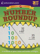 Number Roundup: A Workbook of Place Values and Number Strategies