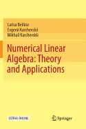 Numerical Linear Algebra: Theory and Applications