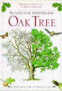 Oak Tree, Natural History