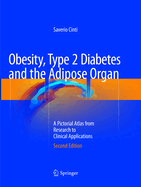 Obesity, Type 2 Diabetes and the Adipose Organ: A Pictorial Atlas from Research to Clinical Applications