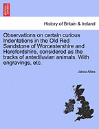 Observations on Certain Curious Indentations in the Old Red Sandstone of Worcestershire and Herefordshire, Considered as the Tracks of Antediluvian Animals. with Engravings, Etc. - Allies, Jabez