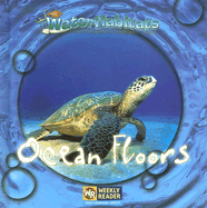 Ocean Floors
