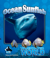 Ocean Sunfish - Coldiron, Deborah