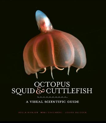 Octopus, Squid & Cuttlefish: The worldwide illustrated guide to cephalopods - Hanlon, Roger, and Allcock, Louise, and Vecchione, Mike