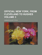 Official New York, from Cleveland to Hughes; Volume 2