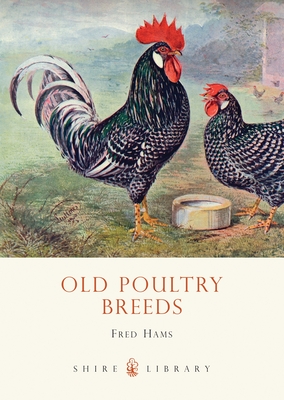 Old Poultry Breeds - Hams, Fred