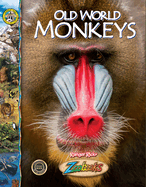 Old World Monkeys