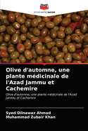 Olive d'automne, une plante m?dicinale de l'Azad Jammu et Cachemire