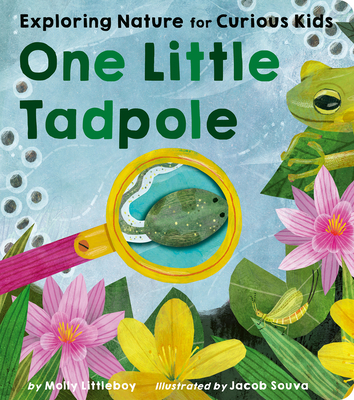 One Little Tadpole: Exploring Nature for Curious Kids - Littleboy, Molly