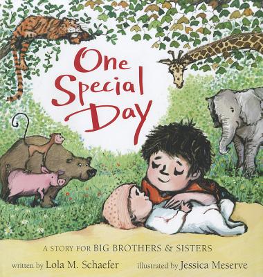 One Special Day: A Story for Big Brothers and Sisters - Schaefer, Lola
