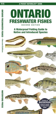 Ontario Freshwater Fishes: A Waterproof Folding Guide to Native and Introduced Species - Morris, Matthew, and Waterford Press (Creator)