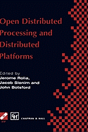 Open Distributed Processing and Distributed Platforms