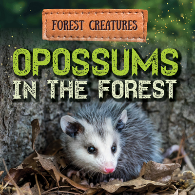 Opossums in the Forest - Washburne, Sophie