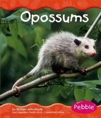Opossums - Ripple, William J
