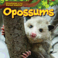 Opossums