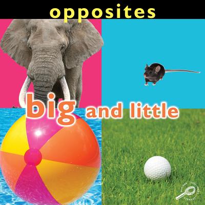 Opposites: Big and Little - Mitten, Luana