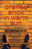 Orange Brick in Warm Sun