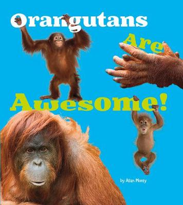 Orangutans Are Awesome! - Morey, Allan