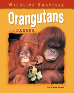 Orangutans in Danger