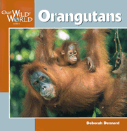 Orangutans