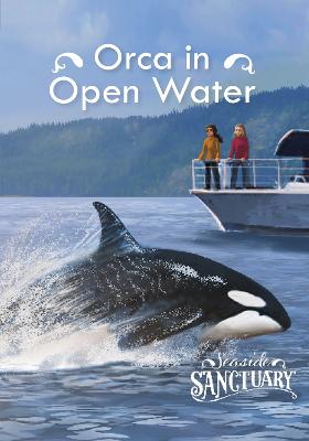 Orca in Open Water - Bernay, Emma, and Berne, Emma Carlson